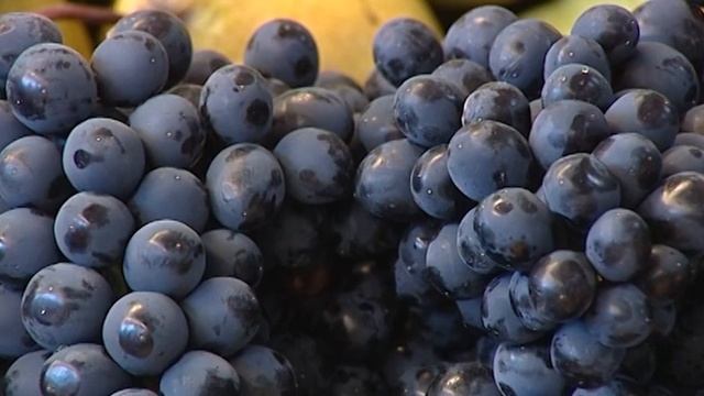 "Покупая - проверяй!" от 16.12.2013 смотреть онлайн