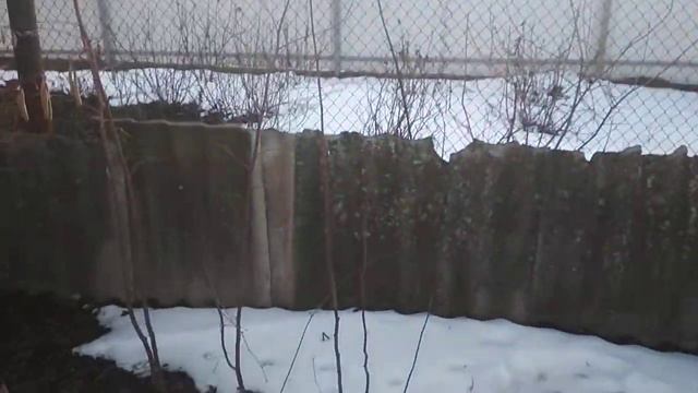 Фундук - запилювач(опылитель) смотреть онлайн