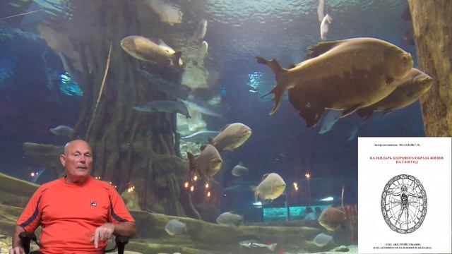 13 лунные сутки - рекомендации. смотреть онлайн