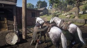 Arthur Collected 3 Dapple Dark Grey Hungarian Halfbreds in Chapter 2 (For Science) in RDR2