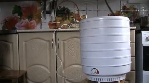 ket i deti. Обзор Сушилки для овощей и фруктов "Ветерок 2".