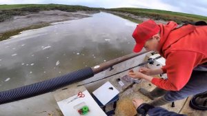 Bass Fishing - MOD - Bristol Channel, Weston-super-Mare, Somerset, UK