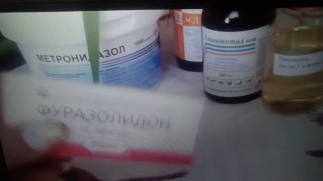 Вакцинация индюков// Вакцинация индюшат//А нужно ли???! смотреть онлайн