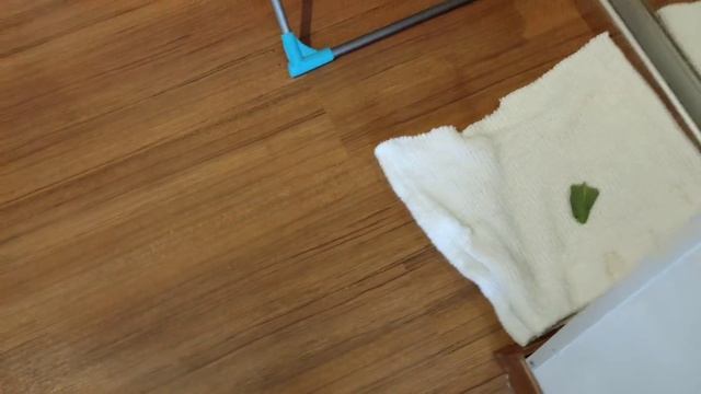 КУДА ПРОПАЛА ЛИЗА и ОБНОВКИ ВЕНИ смотреть онлайн