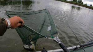 Тут идеальное место для стоянки щуки !