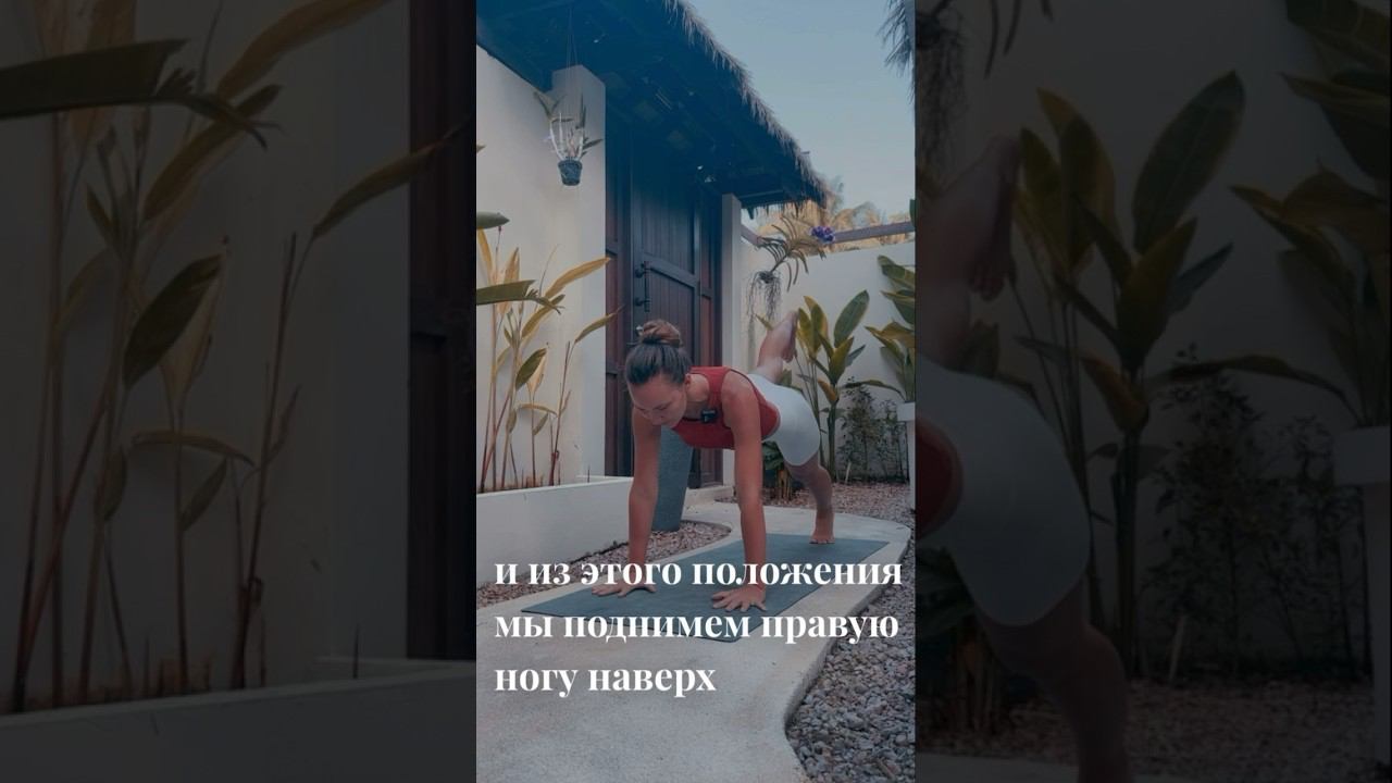 Снова про Чатурангу