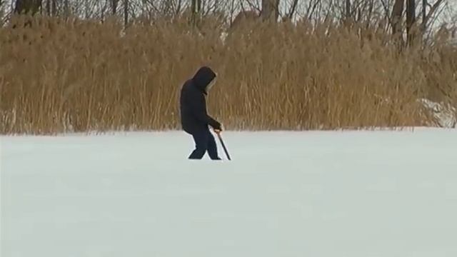 Тысячи рыб погибли в результате замора на Мещерском озере