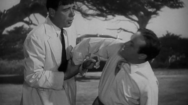 Моя любимая брюнетка (1947) США