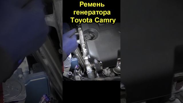 Ремень генератора Toyota Camry