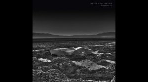 Kangding Ray - RUBI [Stroboscopic Artefacts SALP005 - SACD008]