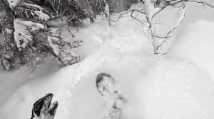 Фрирайд в Домбае, 2022