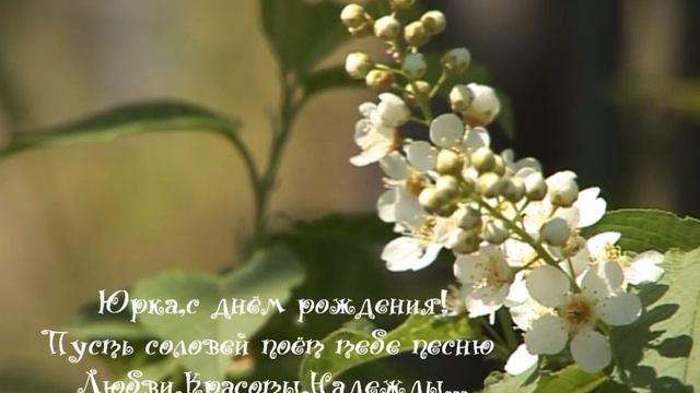 Юрка,с днём рождения!.wmv смотреть онлайн