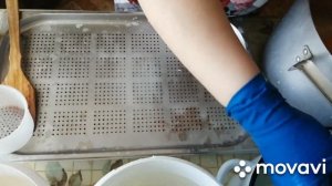 Самый простой Сыр серии Паста Филатта.  Моцарелла, косичка и Буратта.