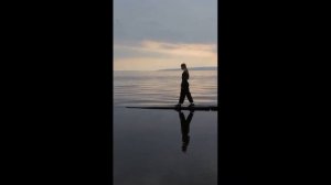 Читаем Тургенева. Стихотворение в прозе "Мне жаль". Плешкова Карина 9 класс