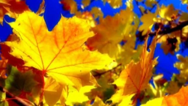 Грустная осень смотреть онлайн