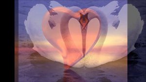 Только добротой сердец