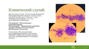 Цитология для начинающих