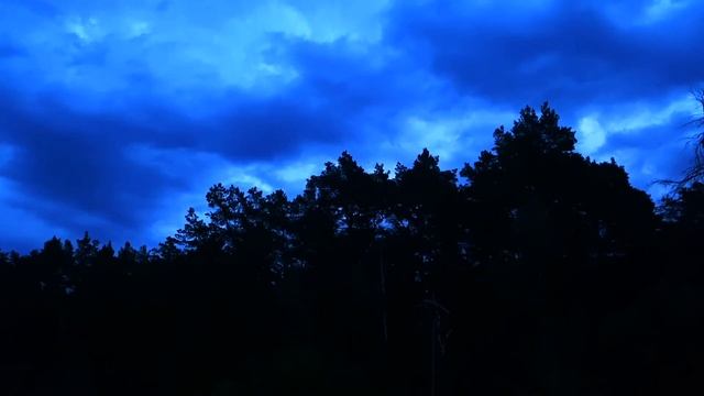 Звуки природы вечером/пение сверчка- 2 часа