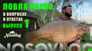 Карпфишинг в вопросах и ответах, выпуск 1, Колесников А.