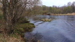 Лодка 2.90 с мотором меркури 5 л.с. 4 такта