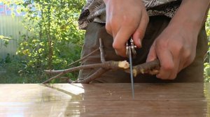 Обустраиваем новую базу!