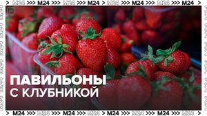 Торговые точки по продаже клубники открылись в столице - Москва 24