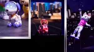 PAW Patrol