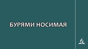 №270 Бурями носимая _ Караоке с голосом _ Гимны надежды