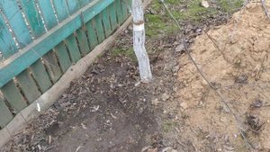 Ловчие пояса .Как сделать своими руками ловчий пояс?