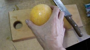 ДЫНЯ НА САДОВОМ УЧАСТКЕ . ДЫНЯ НА ШПАЛЕРЕ vselennaya uvlesheniy