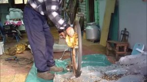 Как я выбиваю из подсолнухов семечки!