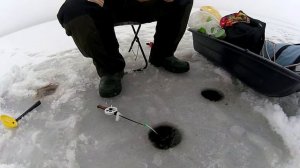 НОВИНКА!!!!ЛОВЛЯ ПЛОТВЫ ТАРАНИ НА МОРМЫШКУ ЗИМОЙ