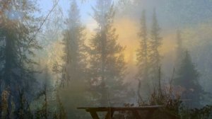 Седые туманы