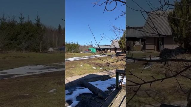 КУРЫ БУДУТ НЕСТИСЬ КРУГЛЫЙ ГОД | Как повысить яйценоскость несушек | Уход в период линьки