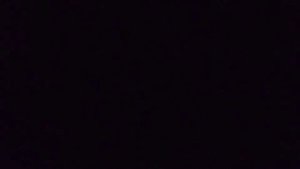 Что могут дать за обычного единорога?