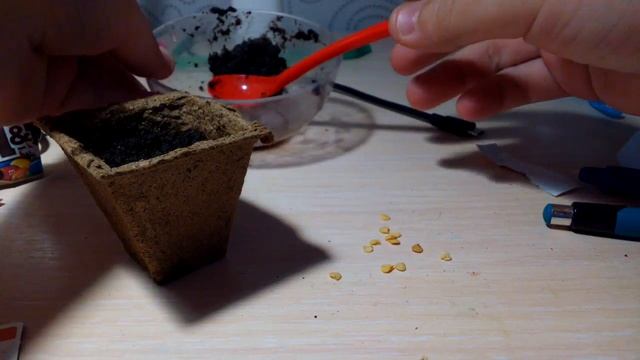 Прорастание расточка " сладкого перца ,, ласточка,,"/ новое растение/ смотреть онлайн