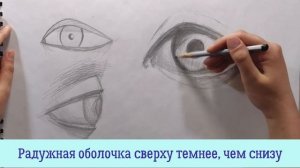 Как нарисовать реалистичный глаз карандашом поэтапно для начинающих легко?