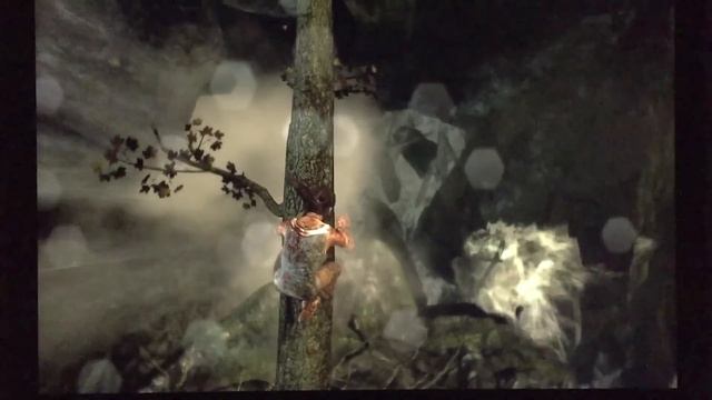 Tomb Raider - 13 MacBook Pro Retina 2015 Intel Iris Graphics 6100