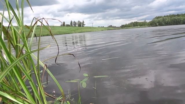 Видеоотчёт о рыбалке 26 июня 2017 года смотреть онлайн