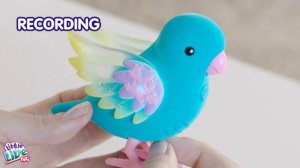 Little Live Pets S8 Light Up Birds | How to Care & Play