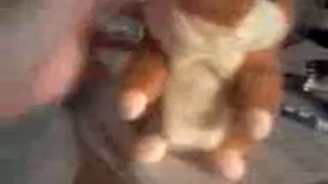 Лучший способ себя развеселить!Хомяк повторюшка или говорящий хомяк!(Обзор)