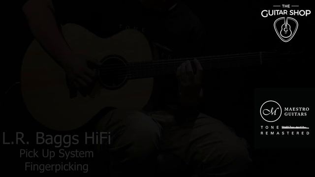 L.R. Baggs HiFi Pick Up System смотреть онлайн