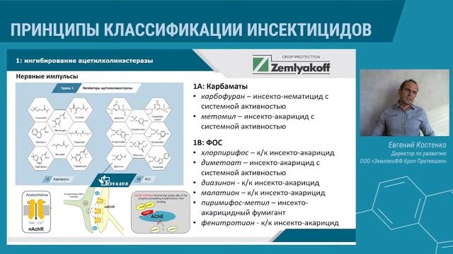 Принципы классификации инсектицидов