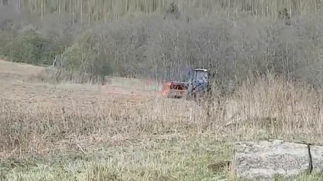Выкорчевка, дискование и посев с помощью трактора
