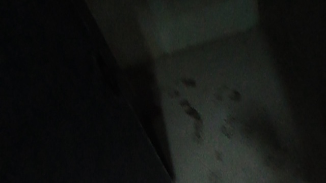 MOV02951 смотреть онлайн