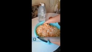 Самая вкусная квашеная капуста с калиной)