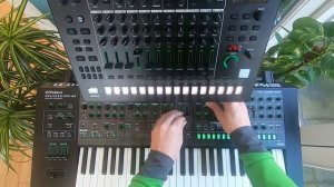 Throw - Melodic Trance (Roland System-8 & TR-8S)