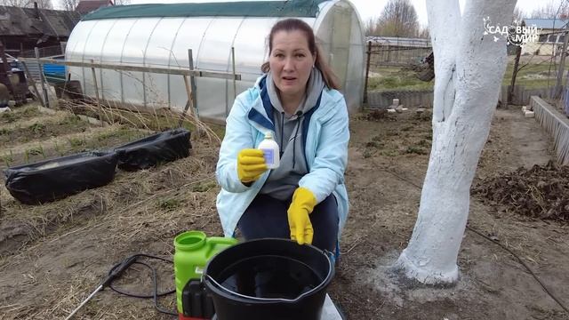 Замучил паутинный клещ - тотальная обработка сада. Уникальный препарат от паутинного клеща. смотреть онлайн