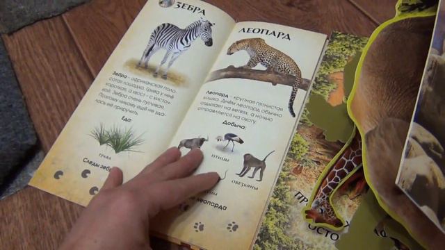 Покорить Африку Азбукварик