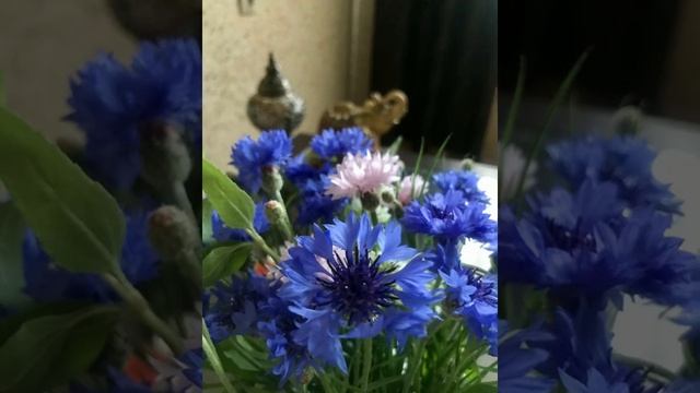 Медитация на благословение Рода